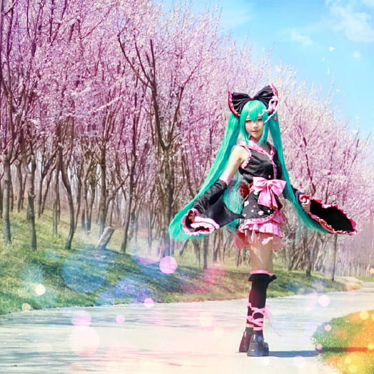 cos cosplay 萌娘 miku 初音 v家 樱花